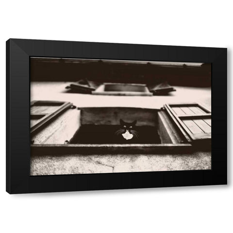 Dali the Cat Black Modern Wood Framed Art Print by Van de Goor, Lars