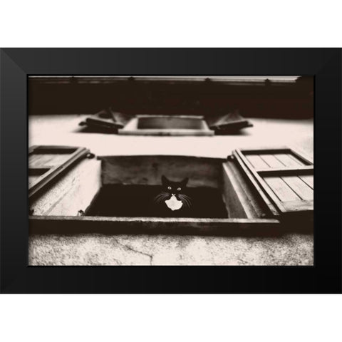Dali the Cat Black Modern Wood Framed Art Print by Van de Goor, Lars