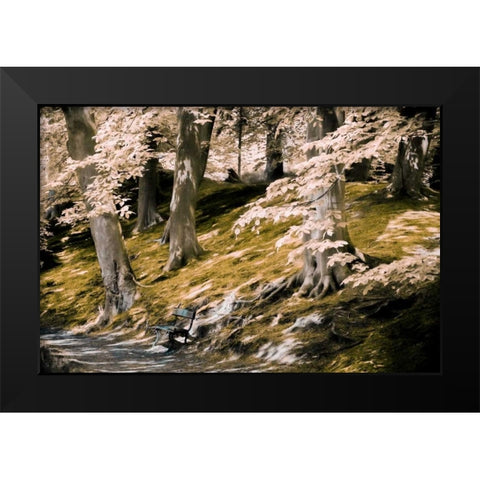 A Fine Place to Rest Black Modern Wood Framed Art Print by Van de Goor, Lars