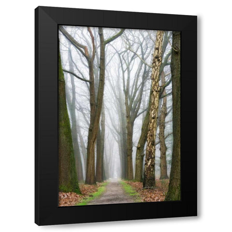 At the End You Will Find a New Beginning Black Modern Wood Framed Art Print by Van de Goor, Lars
