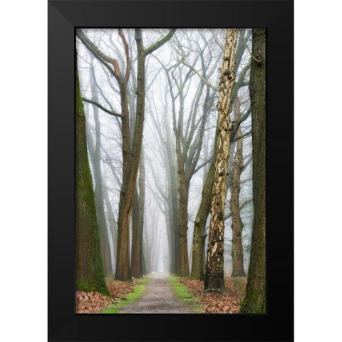At the End You Will Find a New Beginning Black Modern Wood Framed Art Print by Van de Goor, Lars