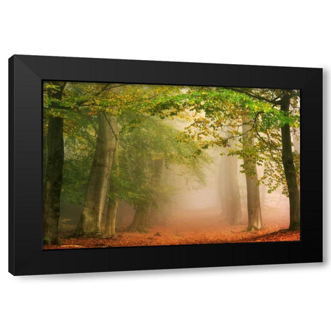 Dreambridge Black Modern Wood Framed Art Print by Van de Goor, Lars