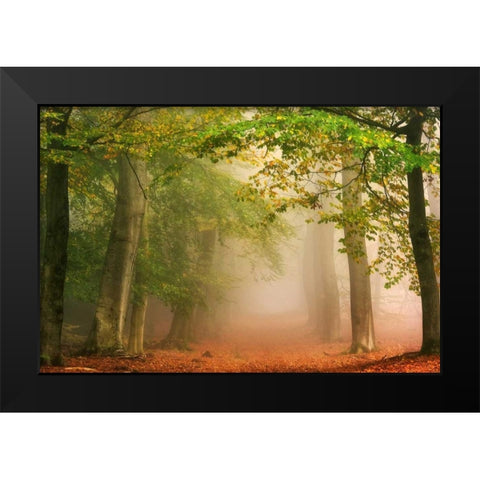 Dreambridge Black Modern Wood Framed Art Print by Van de Goor, Lars