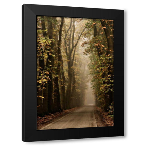 Folia Black Modern Wood Framed Art Print with Double Matting by Van de Goor, Lars