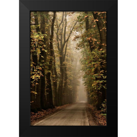 Folia Black Modern Wood Framed Art Print by Van de Goor, Lars