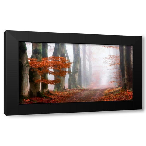 Last Guide before the Mist Black Modern Wood Framed Art Print with Double Matting by Van de Goor, Lars