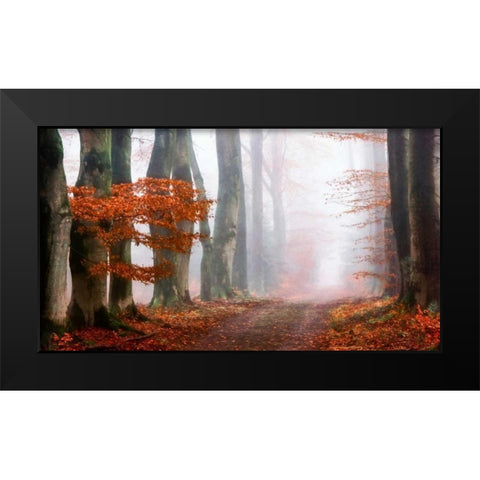 Last Guide before the Mist Black Modern Wood Framed Art Print by Van de Goor, Lars