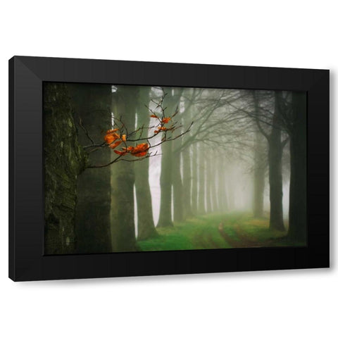 Old and New Black Modern Wood Framed Art Print with Double Matting by Van de Goor, Lars
