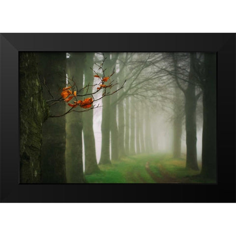Old and New Black Modern Wood Framed Art Print by Van de Goor, Lars