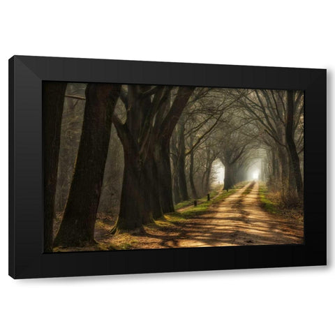 Paths Black Modern Wood Framed Art Print with Double Matting by Van de Goor, Lars