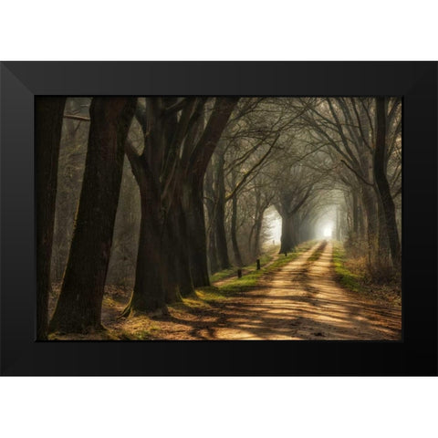 Paths Black Modern Wood Framed Art Print by Van de Goor, Lars