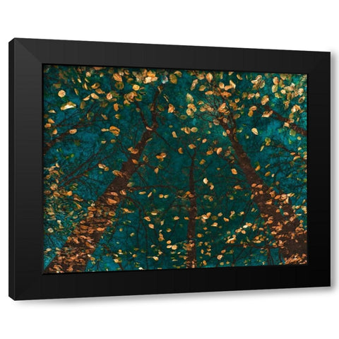 Platoaâ‚¬â„¢s Trees Black Modern Wood Framed Art Print with Double Matting by Van de Goor, Lars