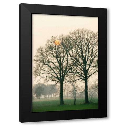 Preparing for Sunset Black Modern Wood Framed Art Print by Van de Goor, Lars