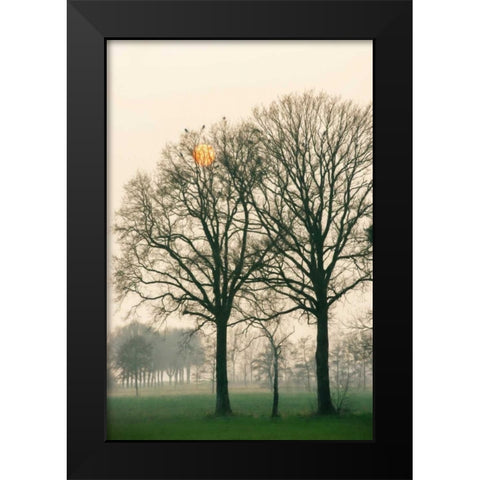 Preparing for Sunset Black Modern Wood Framed Art Print by Van de Goor, Lars