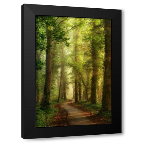 Snake Path Black Modern Wood Framed Art Print with Double Matting by Van de Goor, Lars
