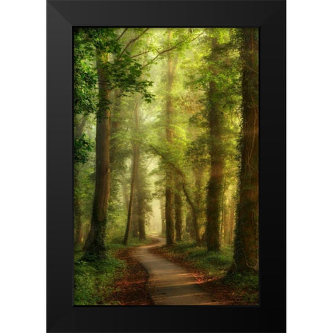 Snake Path Black Modern Wood Framed Art Print by Van de Goor, Lars