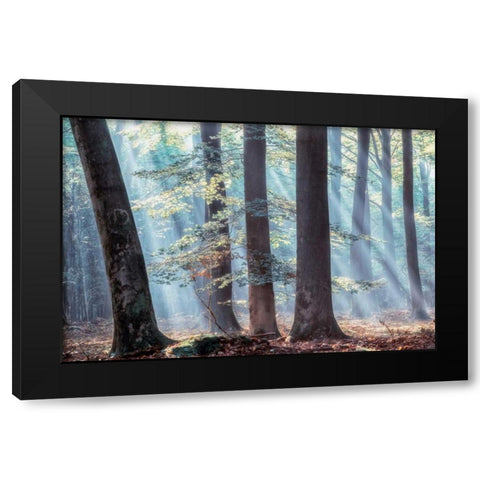 Spellbound Black Modern Wood Framed Art Print by Van de Goor, Lars
