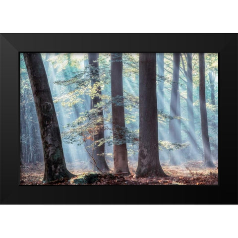 Spellbound Black Modern Wood Framed Art Print by Van de Goor, Lars