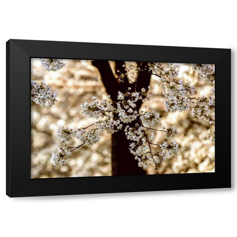 Spring Black Black Modern Wood Framed Art Print by Van de Goor, Lars