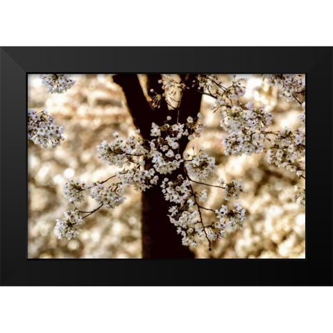 Spring Black Black Modern Wood Framed Art Print by Van de Goor, Lars