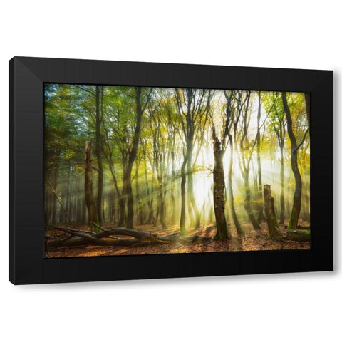 Still Standing Black Modern Wood Framed Art Print with Double Matting by Van de Goor, Lars