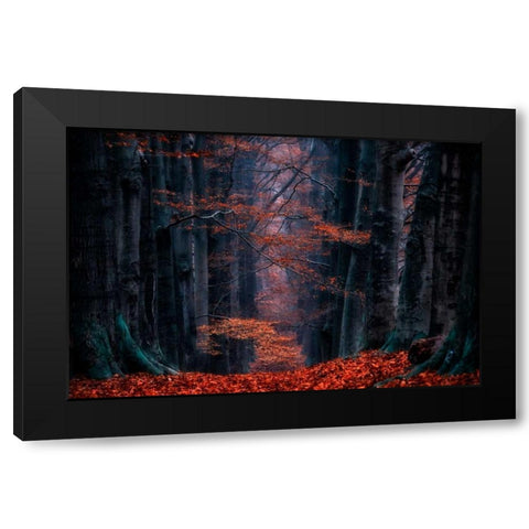 Synapse Black Modern Wood Framed Art Print with Double Matting by Van de Goor, Lars