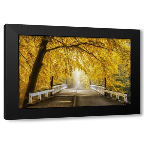 Bridge to Fall III Black Modern Wood Framed Art Print with Double Matting by Van de Goor, Lars