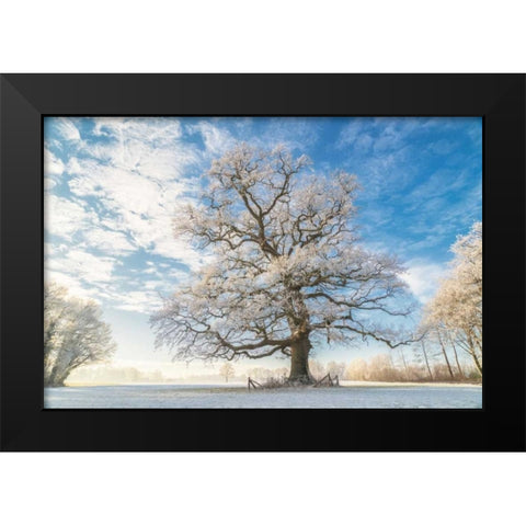 Cold Oak Black Modern Wood Framed Art Print by Van de Goor, Lars