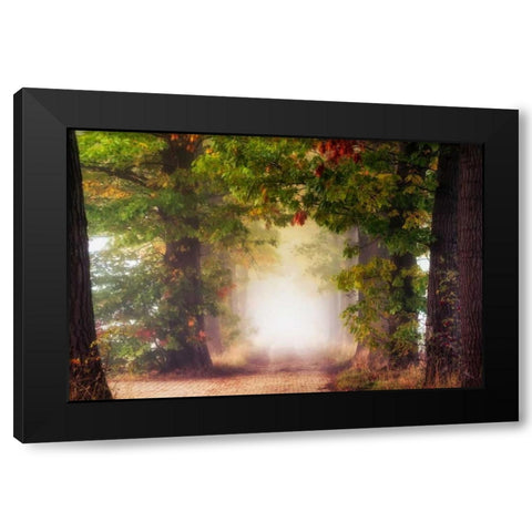 Fall Colors Black Modern Wood Framed Art Print by Van de Goor, Lars