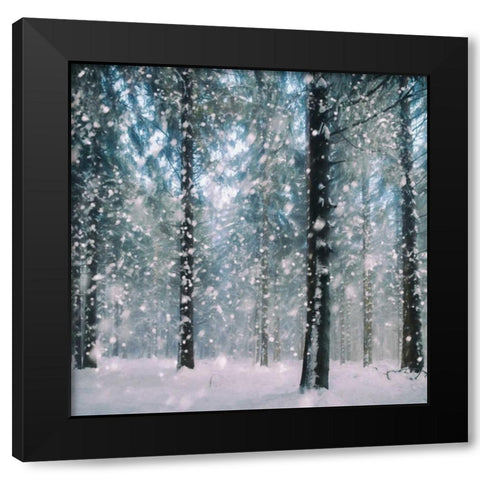 Flakes Black Modern Wood Framed Art Print by Van de Goor, Lars