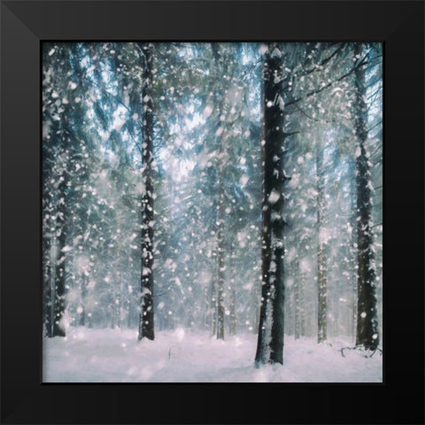 Flakes Black Modern Wood Framed Art Print by Van de Goor, Lars