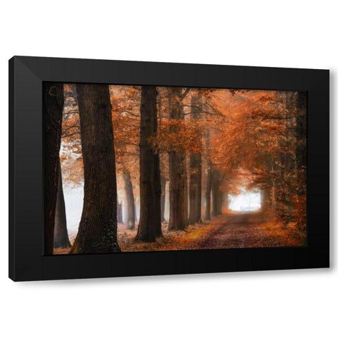 Glorious Season Black Modern Wood Framed Art Print with Double Matting by Van de Goor, Lars