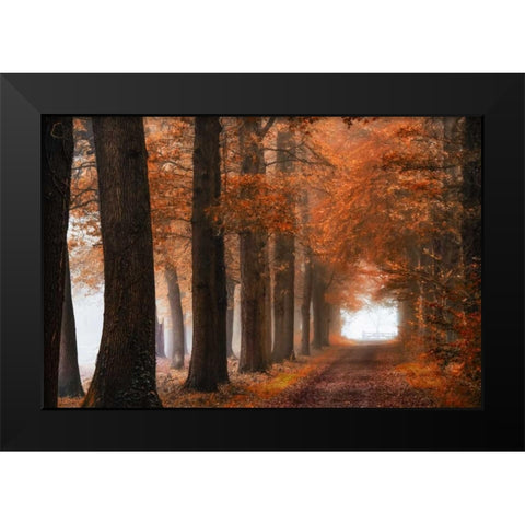 Glorious Season Black Modern Wood Framed Art Print by Van de Goor, Lars