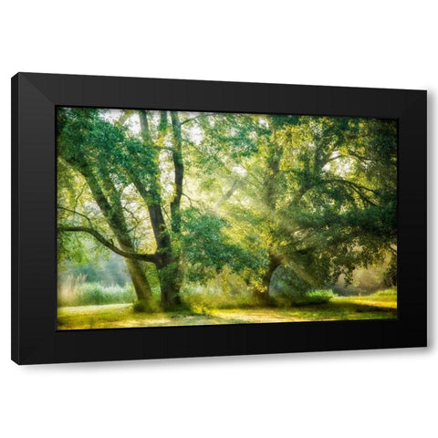 Receiving and Giving Black Modern Wood Framed Art Print by Van de Goor, Lars