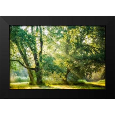 Receiving and Giving Black Modern Wood Framed Art Print by Van de Goor, Lars