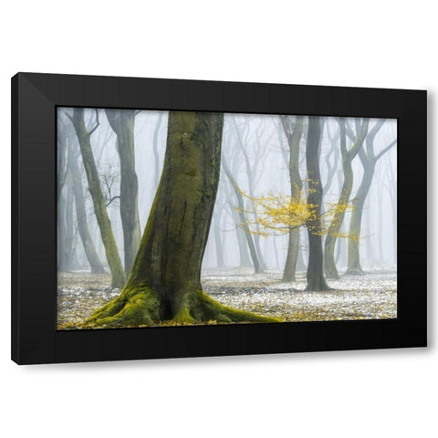 Winter Colors Black Modern Wood Framed Art Print by Van de Goor, Lars