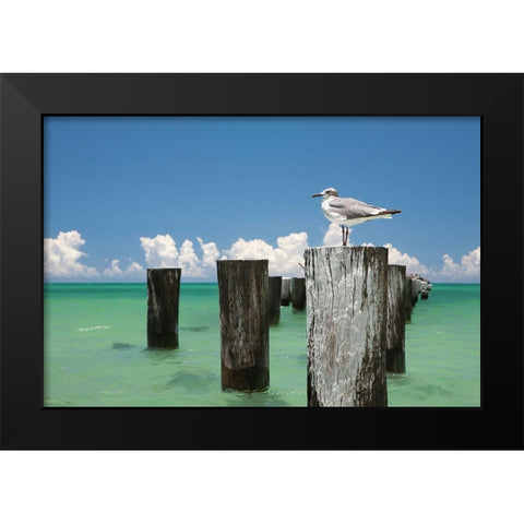 Welcome to Naples, Florida Black Modern Wood Framed Art Print by Varona, Verne