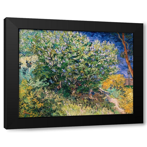 Lilac Bush Black Modern Wood Framed Art Print by Van Gogh, Vincent