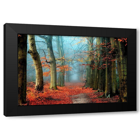 Bussum in Fall Black Modern Wood Framed Art Print by Van de Goor, Lars
