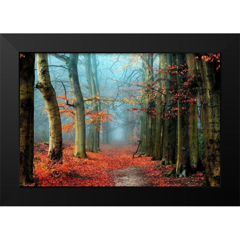 Bussum in Fall Black Modern Wood Framed Art Print by Van de Goor, Lars