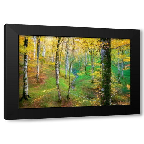 Dream of Birches Black Modern Wood Framed Art Print with Double Matting by Van de Goor, Lars