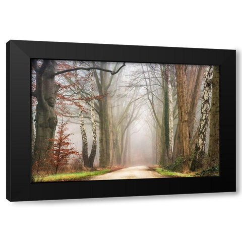 Misty Black Modern Wood Framed Art Print by Van de Goor, Lars