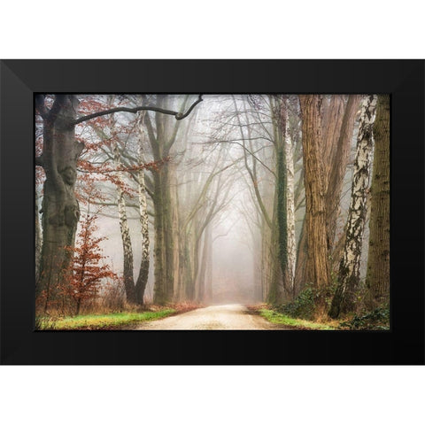 Misty Black Modern Wood Framed Art Print by Van de Goor, Lars