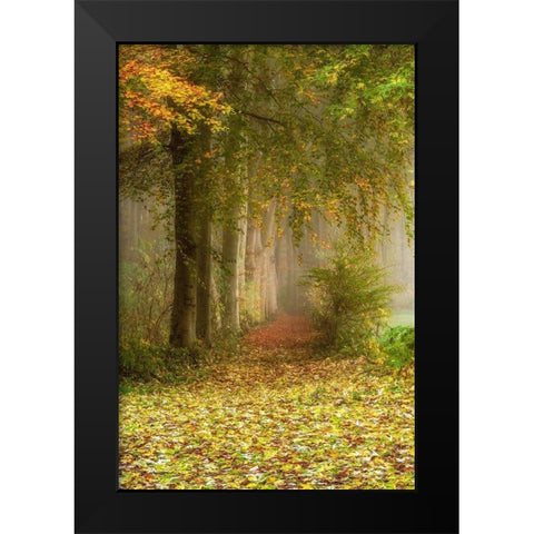 Poetree Black Modern Wood Framed Art Print by Van de Goor, Lars