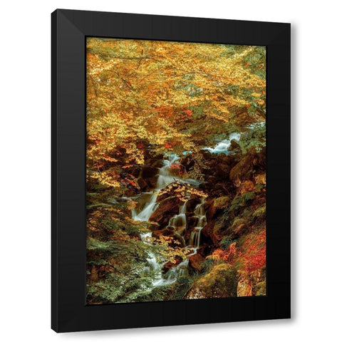 Hidden Waterfall Black Modern Wood Framed Art Print by Van de Goor, Lars