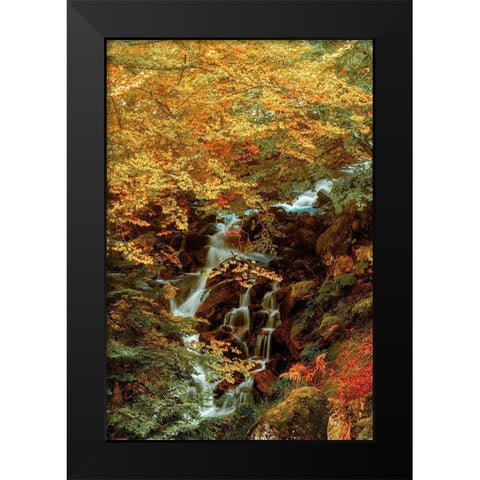 Hidden Waterfall Black Modern Wood Framed Art Print by Van de Goor, Lars