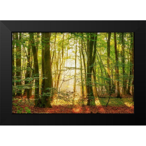 Power Beam Black Modern Wood Framed Art Print by Van de Goor, Lars