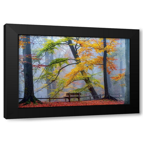 Take A Seat And Enjoy Black Modern Wood Framed Art Print with Double Matting by Van de Goor, Lars