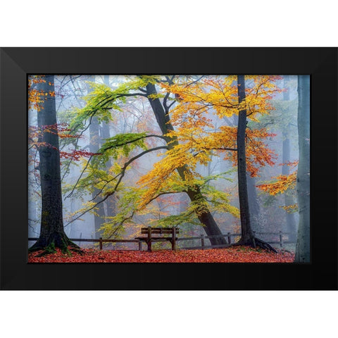 Take A Seat And Enjoy Black Modern Wood Framed Art Print by Van de Goor, Lars