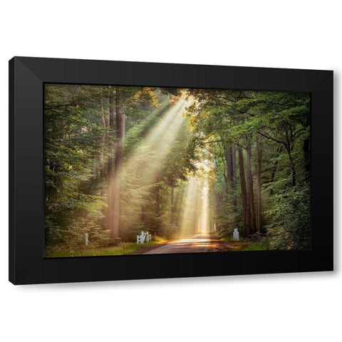 This Beam is Booming Black Modern Wood Framed Art Print by Van de Goor, Lars